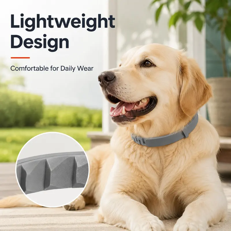 Adjustable Dog Collar with Fresh Scent Comfortable Lightweight Pet Collar for Large Dogs Over 18 lbs Everyday Wear for Walks and Outdoor Use