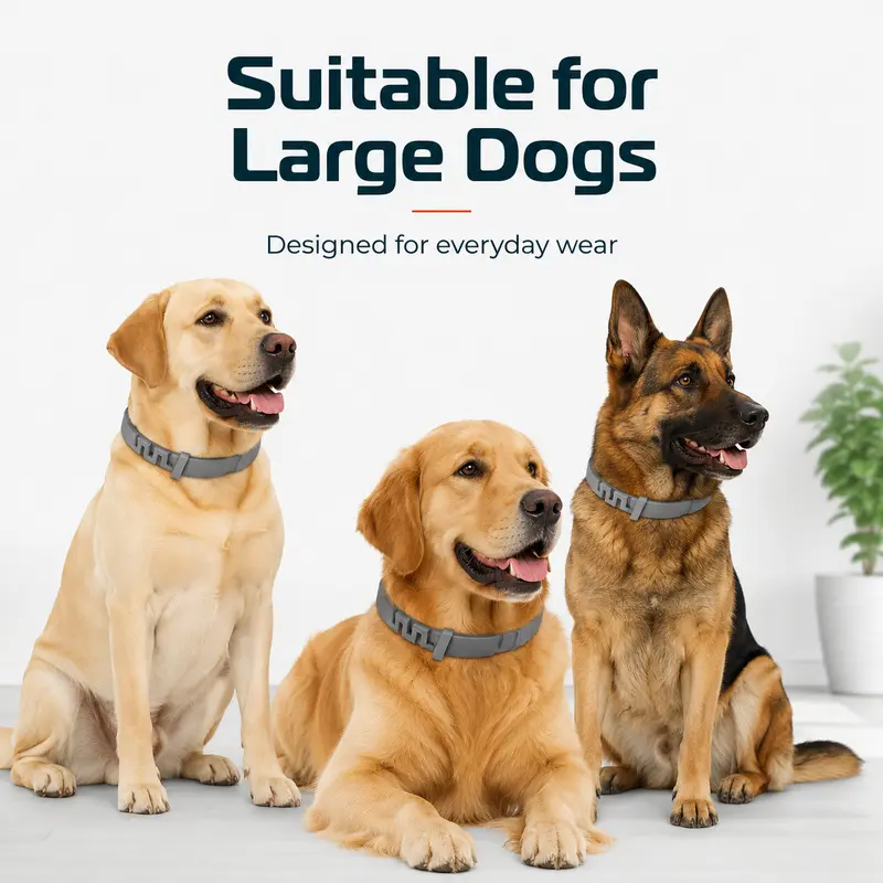 Adjustable Dog Collar with Fresh Scent Comfortable Lightweight Pet Collar for Large Dogs Over 18 lbs Everyday Wear for Walks and Outdoor Use