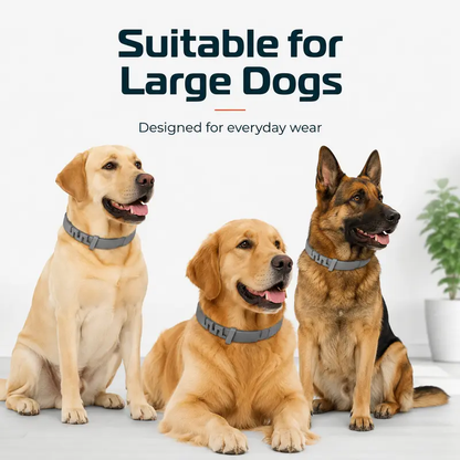 Adjustable Dog Collar with Fresh Scent Comfortable Lightweight Pet Collar for Large Dogs Over 18 lbs Everyday Wear for Walks and Outdoor Use