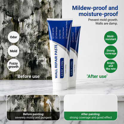 Drywall Patch Repair Kit – 250g Fast-Drying Mending Compound + Multi-Purpose Concrete Sealant + Waterproof Caulking Tools for Cracks, Holes & Leaks