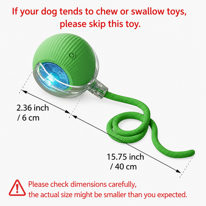 Interactive Cat & Dog Teaser Toy with Two Additional Tails, Kitten Rolling Ball Toy, Pet Supplies, Dog & Cat Accessories Cute dog toys