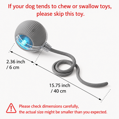Interactive Cat & Dog Teaser Toy with Two Additional Tails, Kitten Rolling Ball Toy, Pet Supplies, Dog & Cat Accessories Cute dog toys