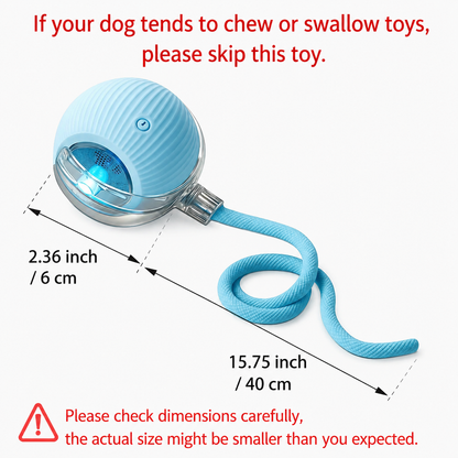 Interactive Cat & Dog Teaser Toy with Two Additional Tails, Kitten Rolling Ball Toy, Pet Supplies, Dog & Cat Accessories Cute dog toys
