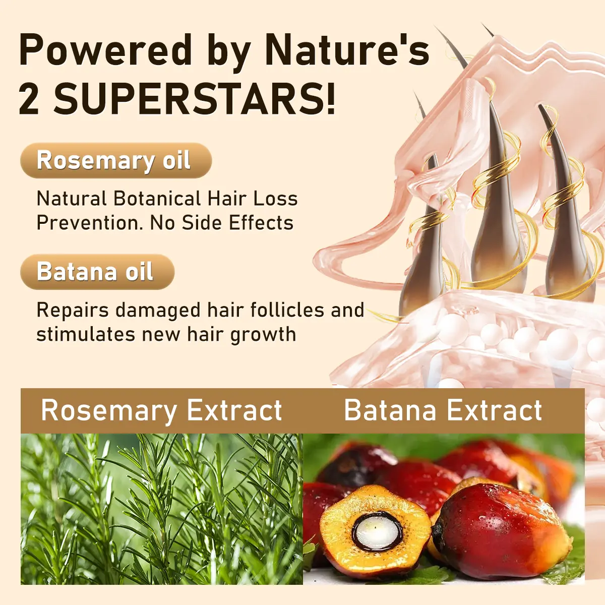BANKIT Rosemary & Batana Oil Hair Growth Cleanser | Helps Reduce Oily Scalp & Dandruff, Soothes Scalp Irritation & Restores Smooth, Healthy Shine